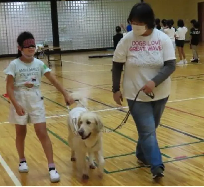 ひたちなか市　小学生を対象：盲導犬のお仕事を学び、実際に盲導犬との歩行体験